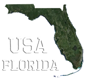 USA Florida, satellite image