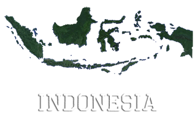 Indonesia, satellite image
