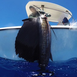 Antonio in Madagascar mentre porta in barca un bellissimo Pesca Vela